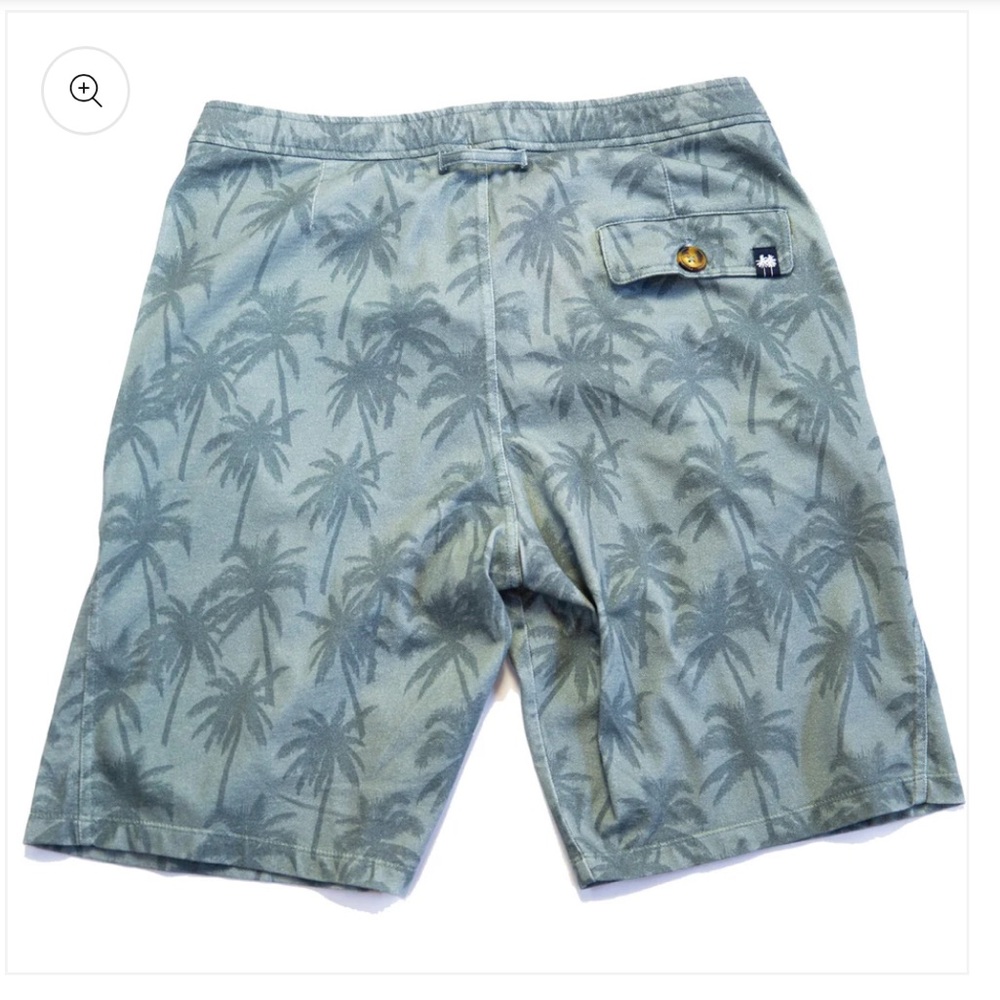 Benson Men's Green Palm Tree Print Shorts